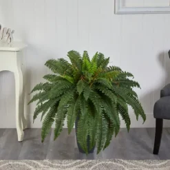 Kirkland's Home Boston Fern In Oblong Gray Planter- Arrangements & Greenery