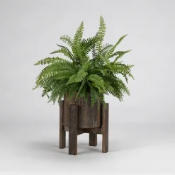 Kirkland's Home Boston Fern In Round Wooden Planter With Stand- Arrangements & Greenery