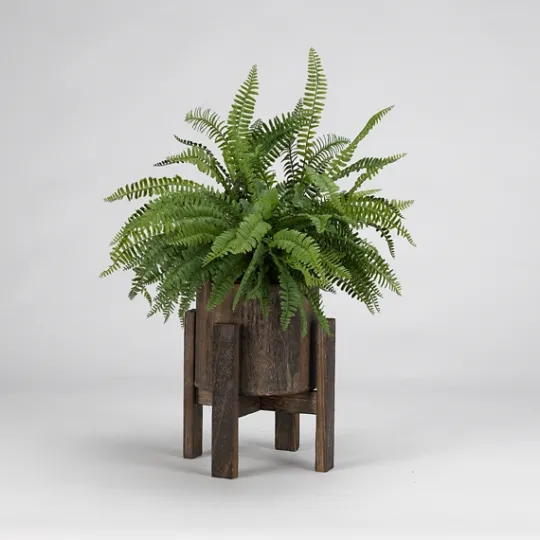 Kirkland's Home Boston Fern In Round Wooden Planter With Stand- Arrangements & Greenery