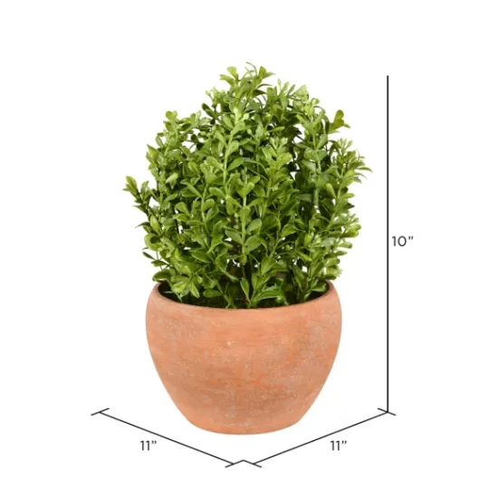 Kirkland's Home Boxwood Bush In Terracotta Pot- Arrangements & Greenery