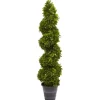 Kirkland's Home Boxwood Spiral Topiary, 48 In.- Trees & Topiaries