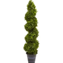 Kirkland's Home Boxwood Spiral Topiary, 48 In.- Trees & Topiaries