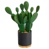 Kirkland's Home Bunny Ear Cactus In Black Mod Planter- Arrangements & Greenery