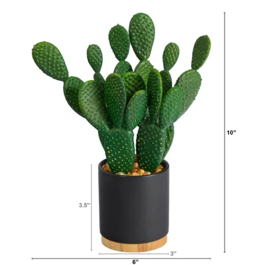 Kirkland's Home Bunny Ear Cactus In Black Mod Planter- Arrangements & Greenery