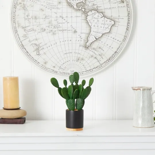 Kirkland's Home Bunny Ear Cactus In Black Mod Planter- Arrangements & Greenery