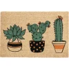 Kirkland's Home Cactus Friends Doormat- Doormats