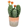 Kirkland's Home Cactus In Clay Pot, 14 In.- Arrangements & Greenery