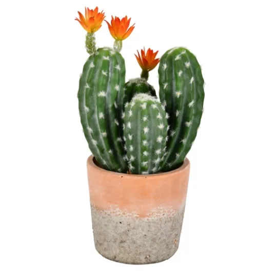 Kirkland's Home Cactus In Clay Pot, 14 In.- Arrangements & Greenery
