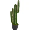 Kirkland's Home Cactus Plant, 3 Ft.- Trees & Topiaries