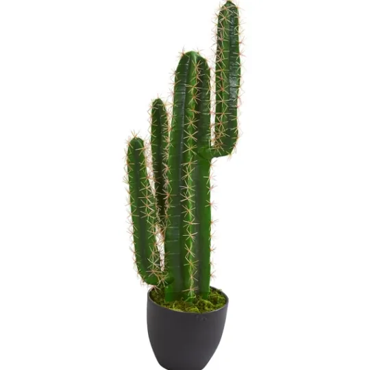 Kirkland's Home Cactus Plant, 3 Ft.- Trees & Topiaries