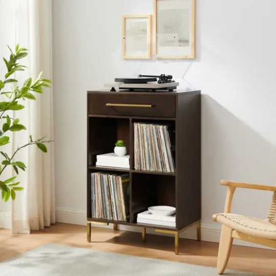 Kirkland's Home Cadence Gold Record Storage Bookcase- Bookshelves