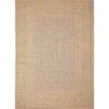 Kirkland's Home Camel Leopard Border Outdoor Area Rug, 5X7- Outdoor Rugs
