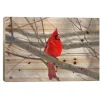Kirkland's Home Cardinal Branch Wood Art Print- Wall Plaques