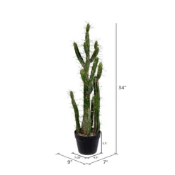Kirkland's Home Cereus Cactus In Black Pot, 34 In.- Trees & Topiaries