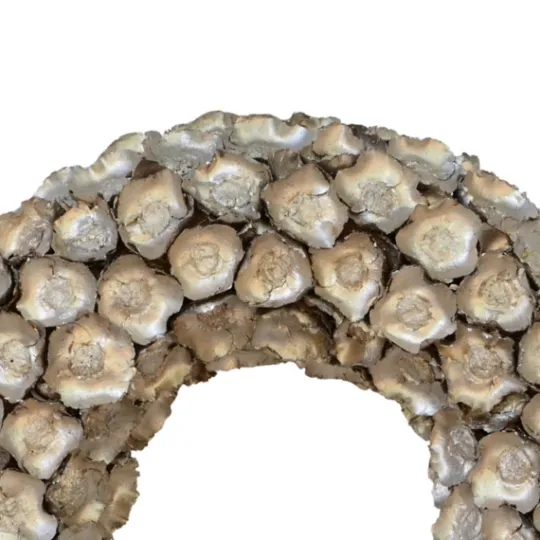 Kirkland's Home Champagne Dried Coco Flower Wreath, 20 In.- Wreaths