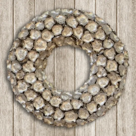 Kirkland's Home Champagne Dried Coco Flower Wreath, 20 In.- Wreaths