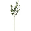 Kirkland's Home Cinerea Eucalyptus Leaf Stems, Set Of 4- Stems & Bouquets