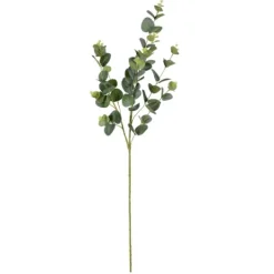 Kirkland's Home Cinerea Eucalyptus Leaf Stems, Set Of 4- Stems & Bouquets