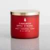 Kirkland's Home Cinnamon Apple Strudel Triple Wick Jar Candle- Candles