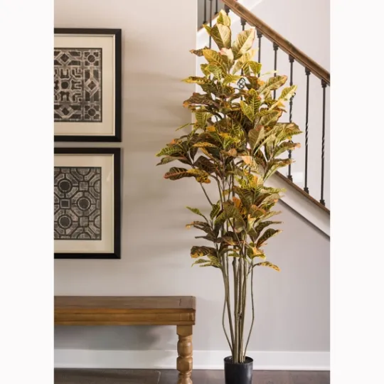 Kirkland's Home Colorful Croton Tree In Black Planter, 7 Ft.- Trees & Topiaries