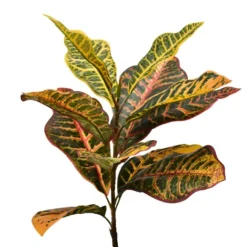 Kirkland's Home Colorful Croton Tree In Black Planter, 5 Ft.- Trees & Topiaries