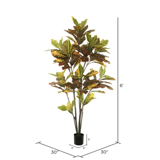 Kirkland's Home Colorful Croton Tree In Black Planter, 6 Ft.- Trees & Topiaries