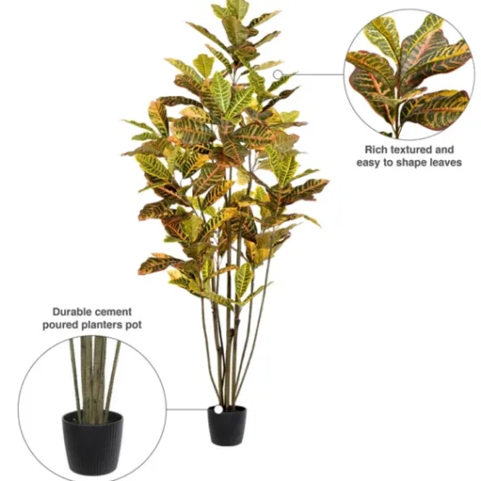 Kirkland's Home Colorful Croton Tree In Black Planter, 6 Ft.- Trees & Topiaries