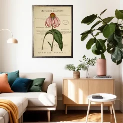 Kirkland's Home Coneflower Botanical Magazine Framed Art Print- Framed Art