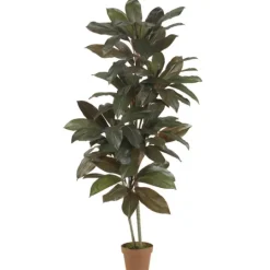 Kirkland's Home Cordyline Plant In Terracotta Planter- Trees & Topiaries