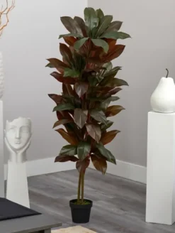 Kirkland's Home Cordyline Plant In Terracotta Planter- Trees & Topiaries