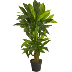 Kirkland's Home Corn Stalk Dracaena Plant In Black Planter- Trees & Topiaries