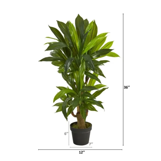 Kirkland's Home Corn Stalk Dracaena Plant In Black Planter- Trees & Topiaries