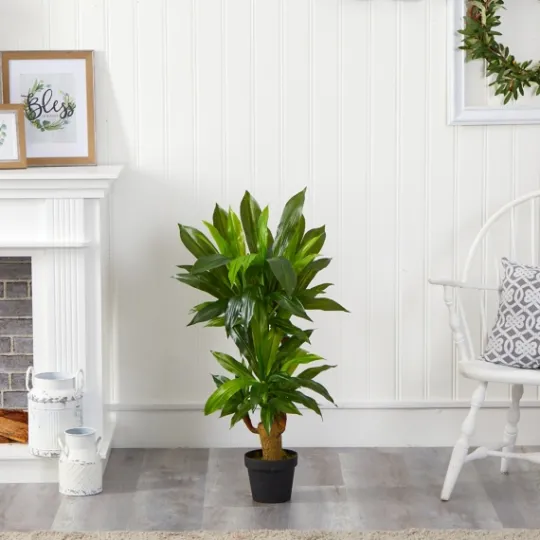 Kirkland's Home Corn Stalk Dracaena Plant In Black Planter- Trees & Topiaries