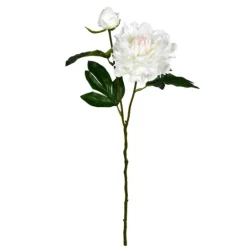 Kirkland's Home Cream Blooming Peony Stems, Set Of 6- Stems & Bouquets