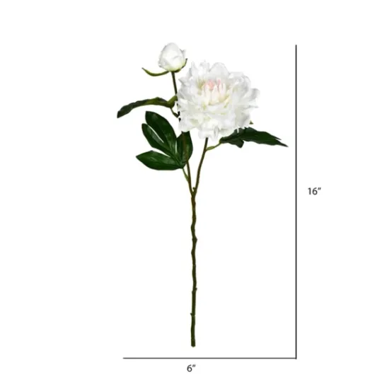 Kirkland's Home Cream Blooming Peony Stems, Set Of 6- Stems & Bouquets