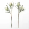 Kirkland's Home Cream Foam Protea Stem- Stems & Bouquets