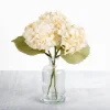 Kirkland's Home Cream Hydrangea Arrangement In Glass Vase- Arrangements & Greenery