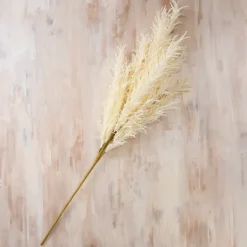 Kirkland's Home Cream Pampas Grass Stem- Stems & Bouquets