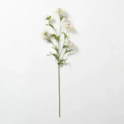 Kirkland's Home Cream Wild Daisy Stem- Stems & Bouquets