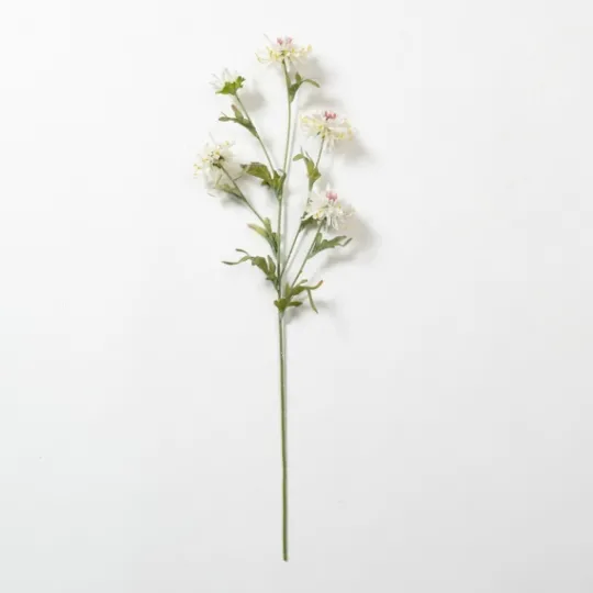 Kirkland's Home Cream Wild Daisy Stem- Stems & Bouquets