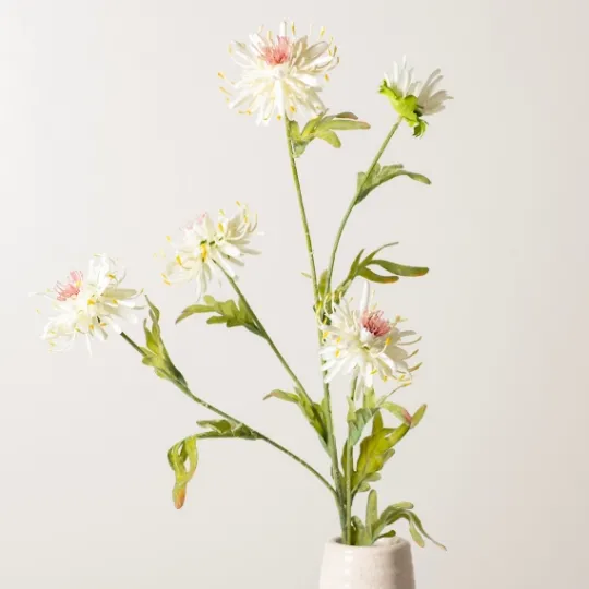 Kirkland's Home Cream Wild Daisy Stem- Stems & Bouquets