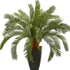 Kirkland's Home Cycas Floor Plant In Tall Black Planter, 30 In.- Trees & Topiaries