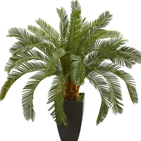Kirkland's Home Cycas Floor Plant In Tall Black Planter, 30 In.- Trees & Topiaries