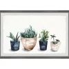 Kirkland's Home Deckled Succulent Row Framed Art Print- Framed Art
