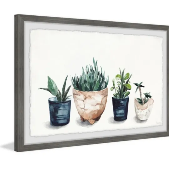 Kirkland's Home Deckled Succulent Row Framed Art Print- Framed Art