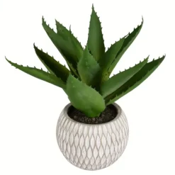 Kirkland's Home Deep Aloe Leaves In Ceramic Container- Arrangements & Greenery