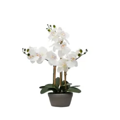 Kirkland's Home Desktop Orchid Arrangement In Gray Planter- Arrangements & Greenery