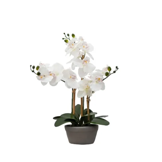 Kirkland's Home Desktop Orchid Arrangement In Gray Planter- Arrangements & Greenery