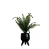 Kirkland's Home Desktop Palm Plant In Black Planter- Arrangements & Greenery