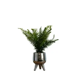 Kirkland's Home Desktop Palm Plant In Silver Planter- Arrangements & Greenery